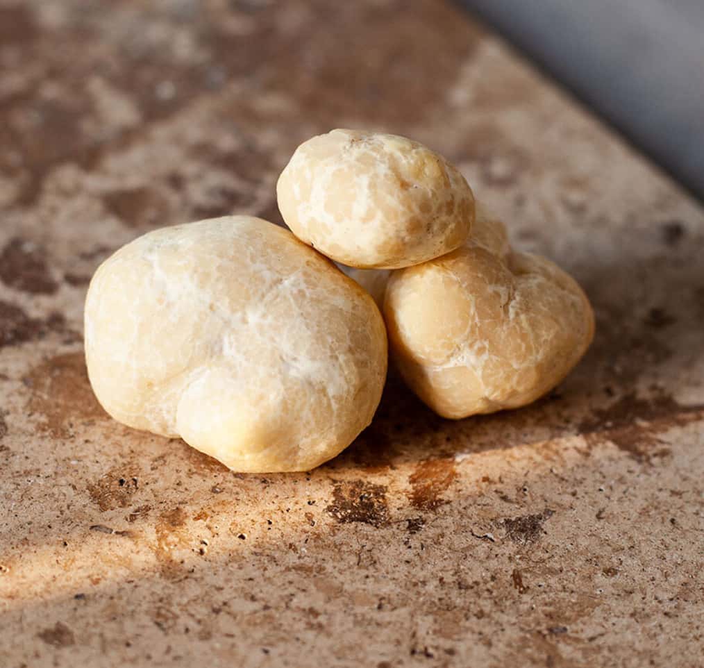 Friske Honningtrøfler