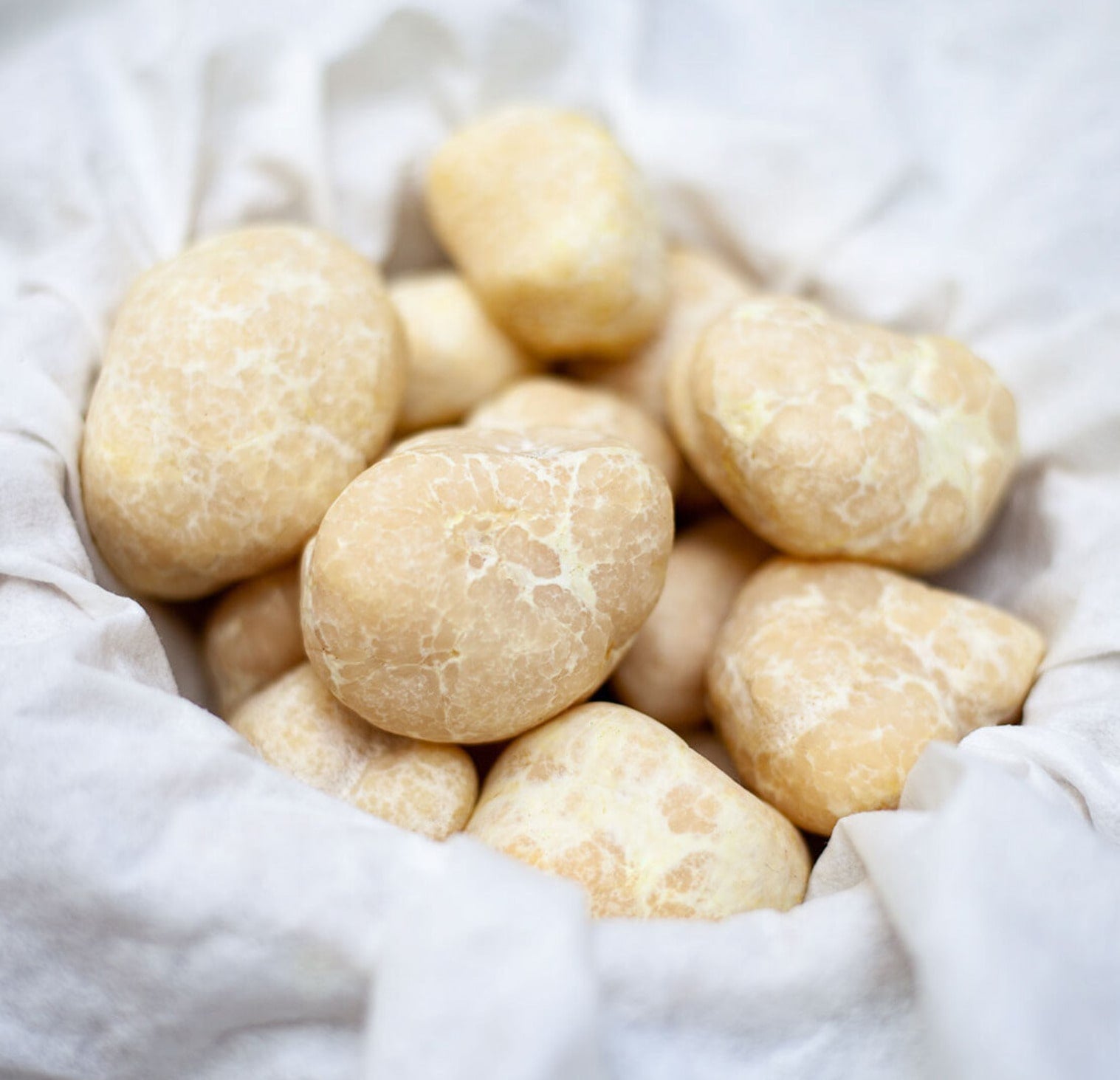 Friske Honningtrøfler