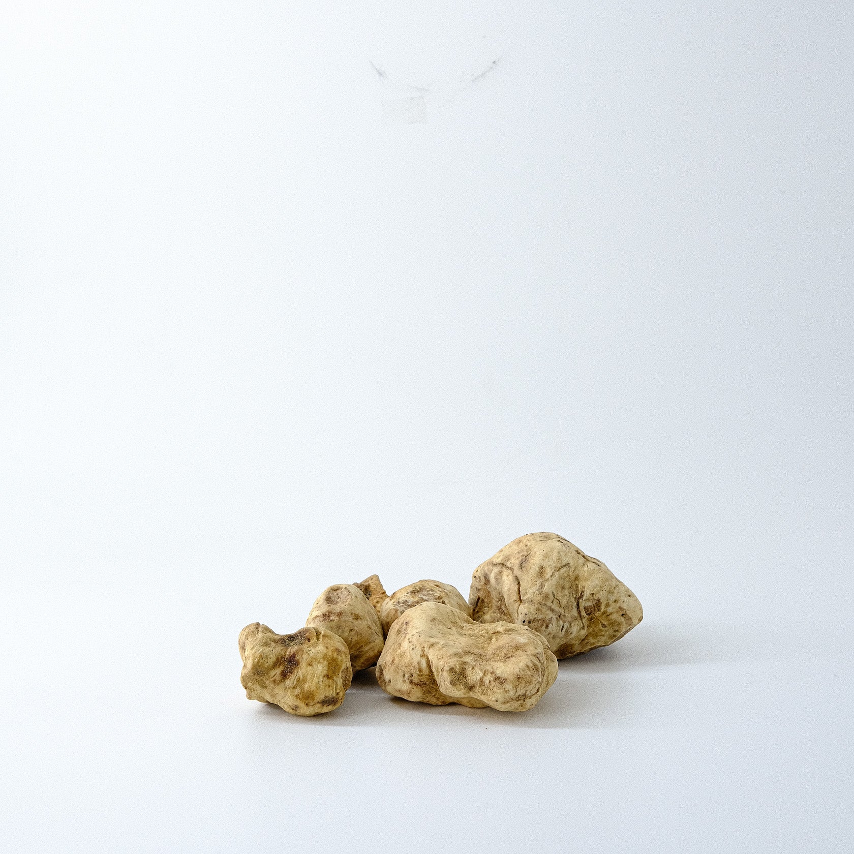 Trøffelsæt (Hvide trøfler + Slicer)