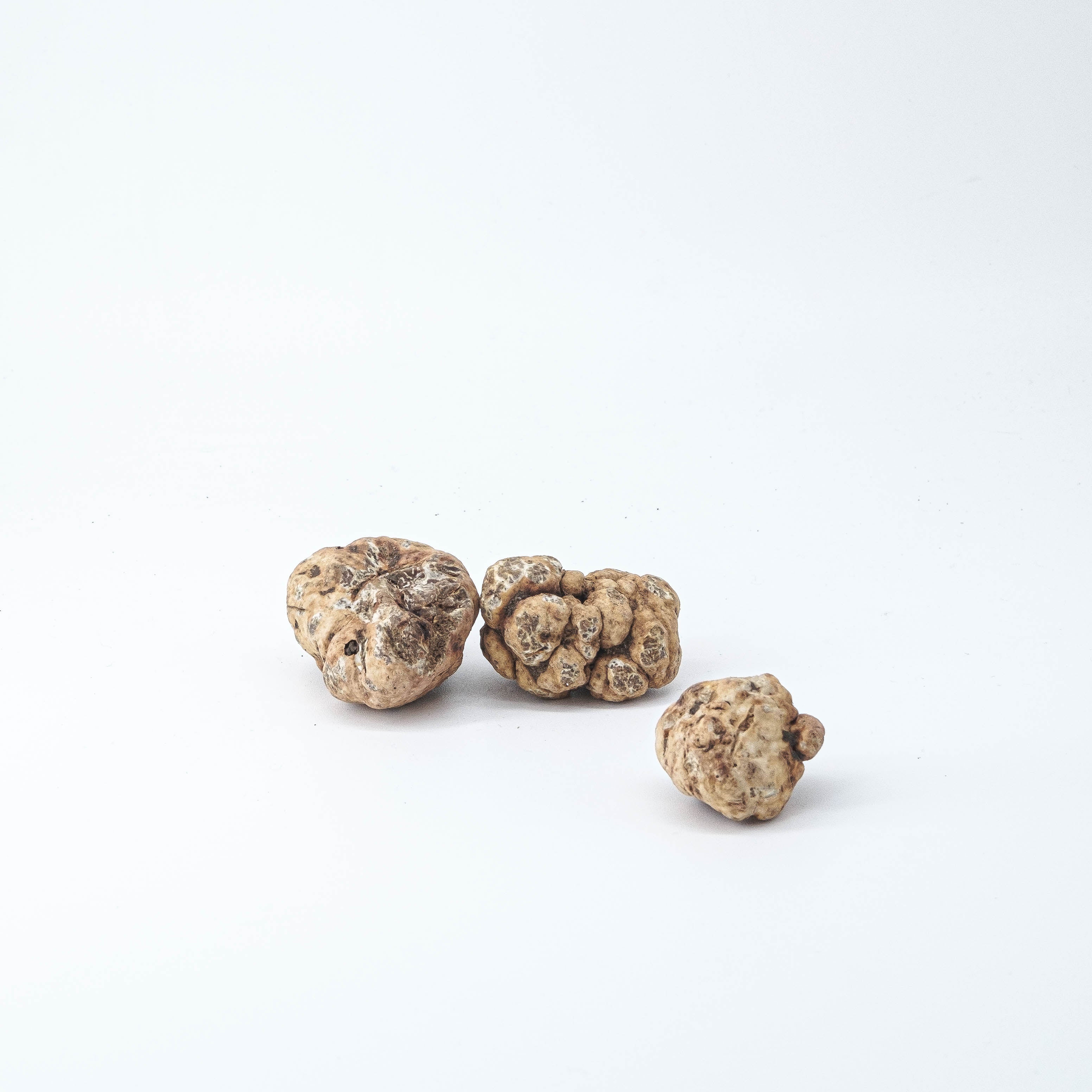 Friske Hvide Forårstrøfler - Bianchetto