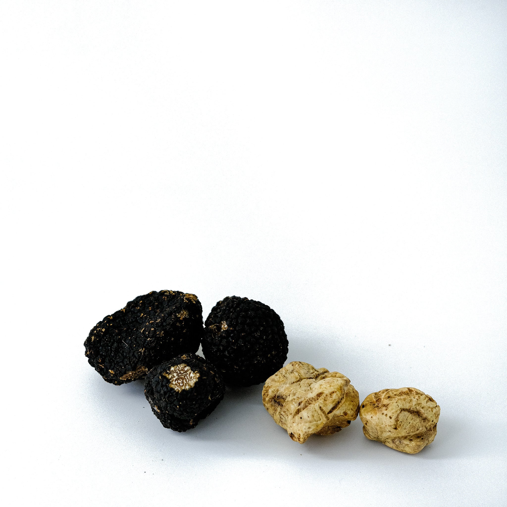 Trøffelduo - Vintertrøffel & Hvid trøffel